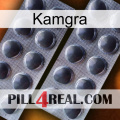 Kamgra 31